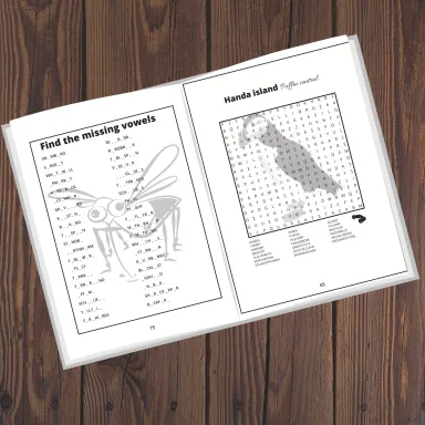 Work out the missing letters Missing vowels and Word searches