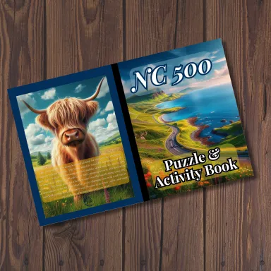 Click Here for buying options NC 500 Puzzle and Activity Book