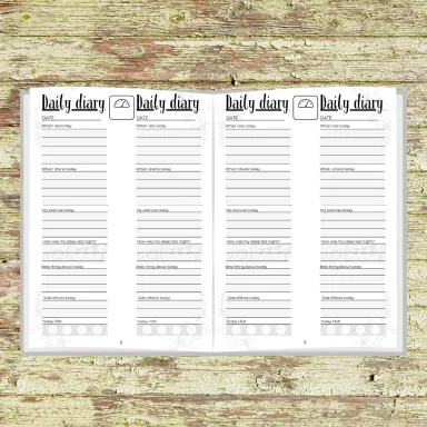 Daily diary pages